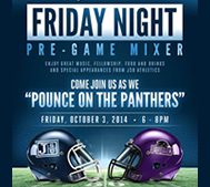 MIXER PANTHERS