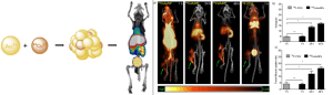 fig3