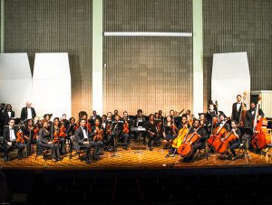 Orchestra 2015