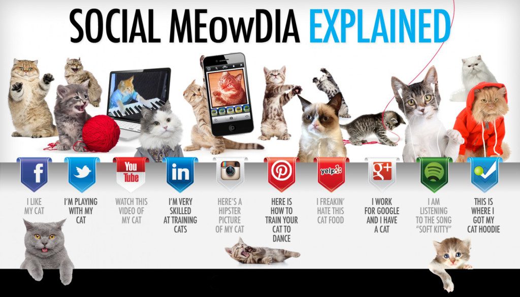 social-media-explained-by-cute-cats_5127ca6880db9_w1500.png