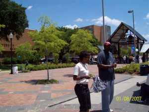 Picture 038