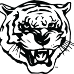 Leaping tiger head png 11