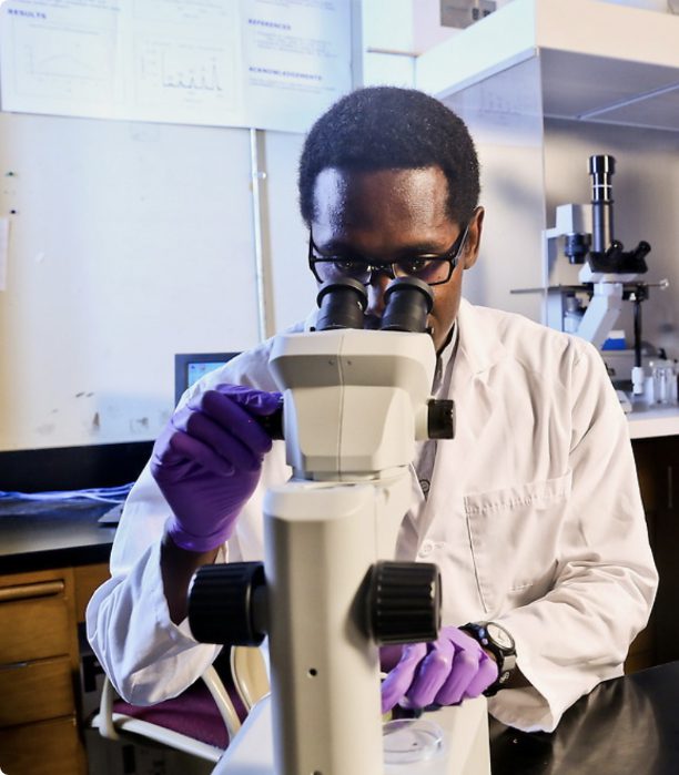 Student using microscope